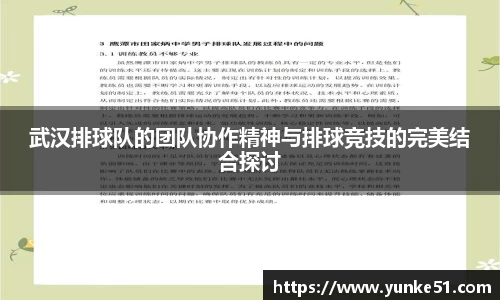 武汉排球队的团队协作精神与排球竞技的完美结合探讨